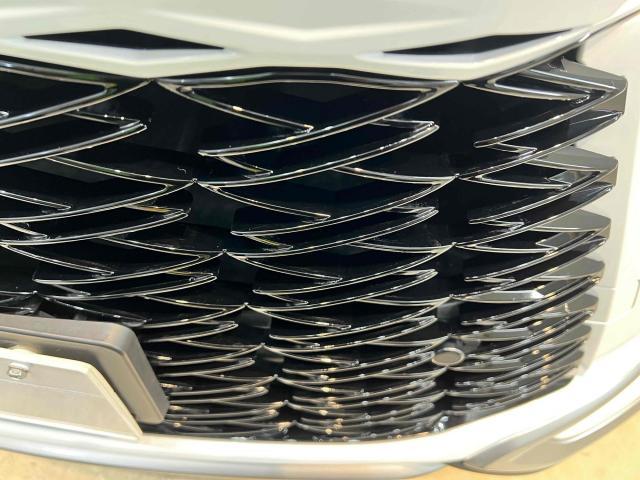 レクサス　ＲＸ　NA3セラミックコーティング　ガラスコーティング　ホイール洗浄　キャリパー洗浄　ポリッシュ　研磨　洗車　愛知　岐阜　一宮　稲沢　江南　名古屋