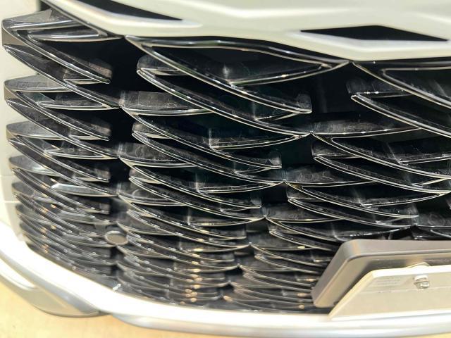 レクサス　ＲＸ　NA3セラミックコーティング　ガラスコーティング　ホイール洗浄　キャリパー洗浄　ポリッシュ　研磨　洗車　愛知　岐阜　一宮　稲沢　江南　名古屋