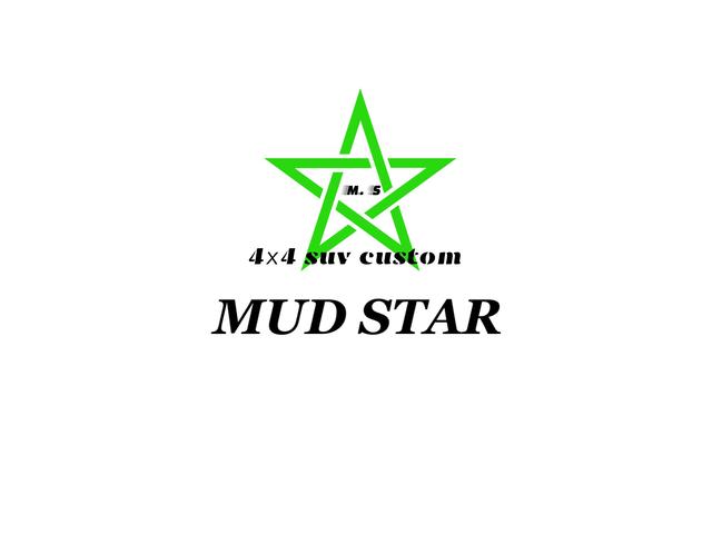 ＭＵＤＳＴＡＲ（マッドスター）（株）Ｇ－ＮＥＥＤ(1枚目)