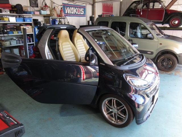 spring-clip-brabus-fender-