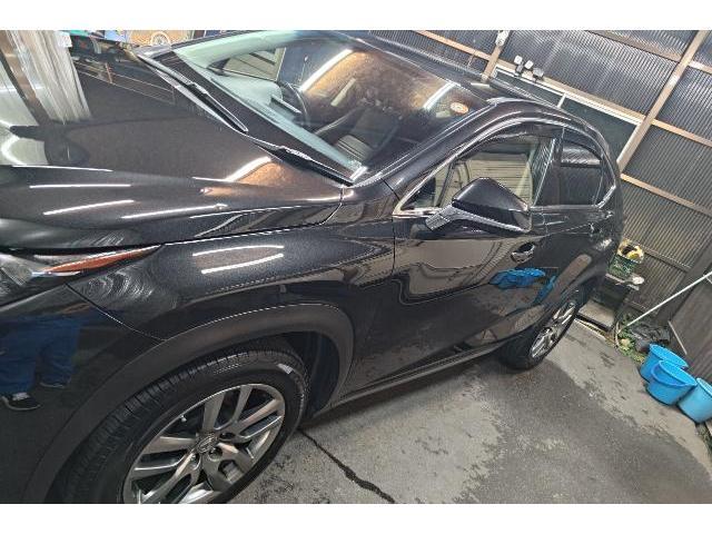 レクサス NX ボディコーティング ガラスコート 可児市 御嵩町 八百津町 土岐市 瑞浪市 恵那市 中津川市