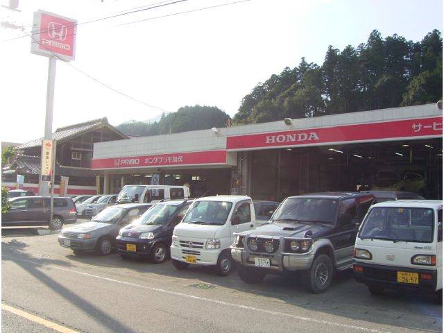 �������ɥ饤�֡ʳ��ˡ����ĥ�����Ź