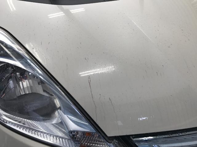 ホンダ フィット  ボディーコーティング！高山市のH様からのご依頼！