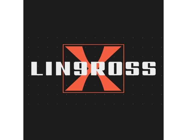 ＬＩＮ９ＲＯＳＳ合同会社　リンクロス