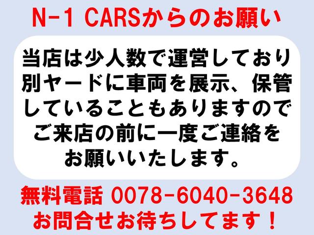 Ｎ－１　ＣＡＲＳ(5枚目)