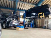 （株）マウロア2