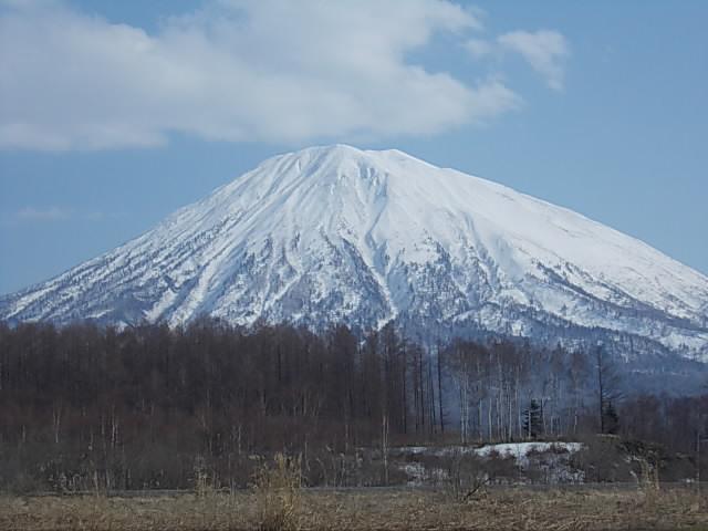 北海道日産自動車(株) 倶知安店(4枚目)