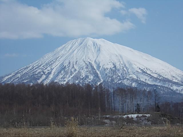 北海道日産自動車（株）　倶知安店(3枚目)