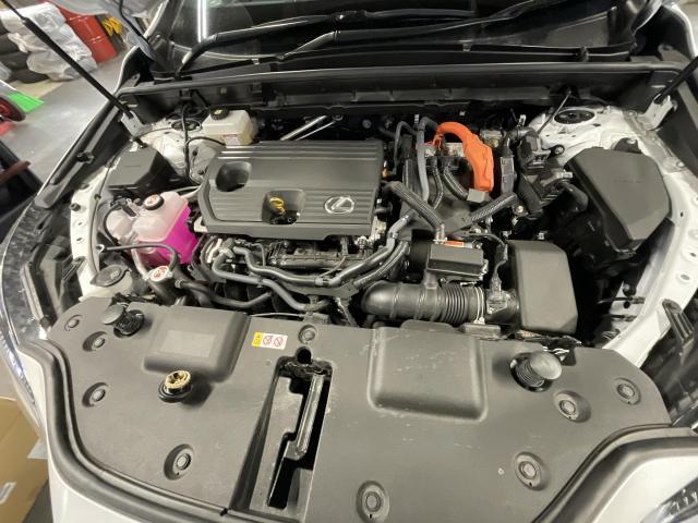 レクサス　ＮＸ　オイル・エレメント交換　旭川市・神楽・神楽岡・神居・西御料・東光・東神楽町・鷹栖町・美瑛町・東神楽町・他地域も大歓迎！ 
