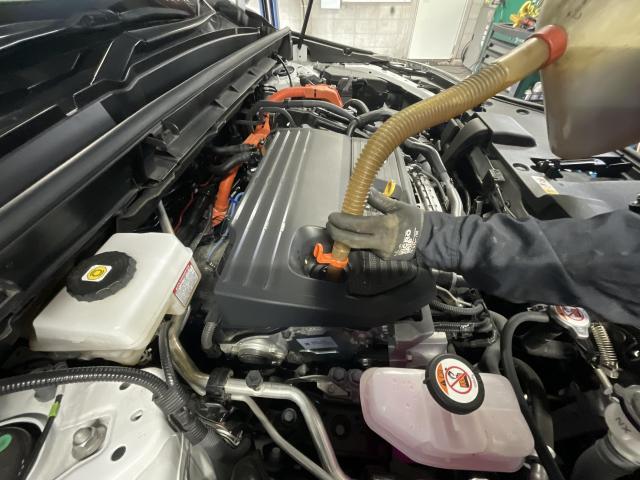 レクサス　ＮＸ　オイル・エレメント交換　旭川市・神楽・神楽岡・神居・西御料・東光・東神楽町・鷹栖町・美瑛町・東神楽町・他地域も大歓迎！ 