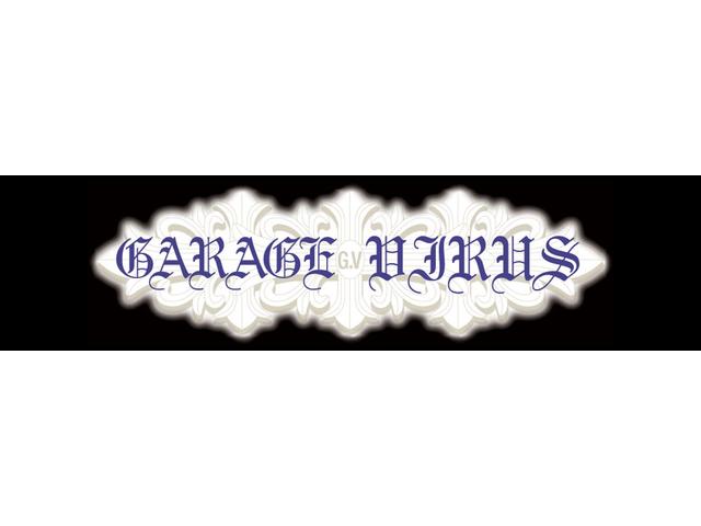 ＧＡＲＡＧＥ ＶＩＲＵＳ 〔ガレージ ヴァイラス〕