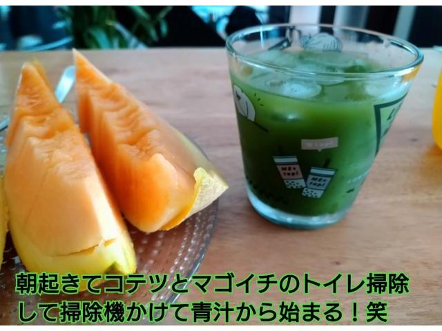 トヨタヴィッツ買取！ホンダゼスト車検預り！