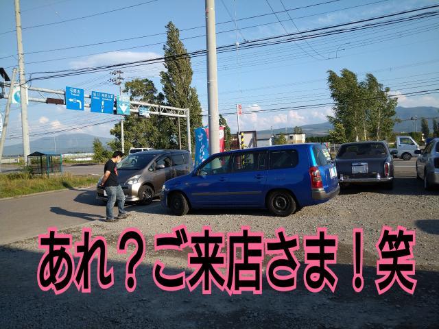 バックオーダー祭り！オイル交換祭り！