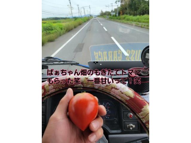 NXご成約！アルファード下取り！