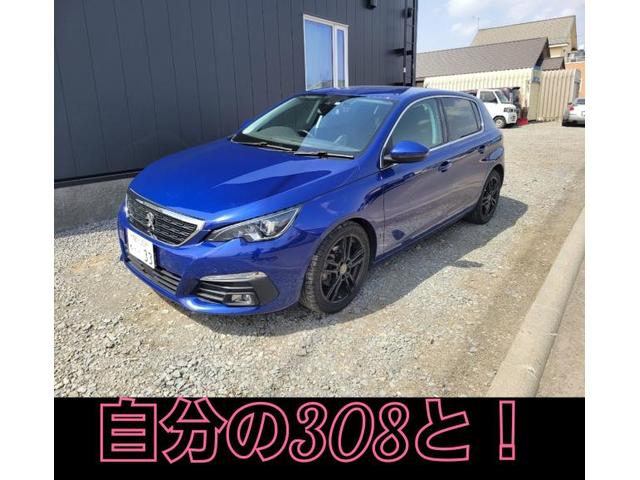 黄砂からの洗車祭り！