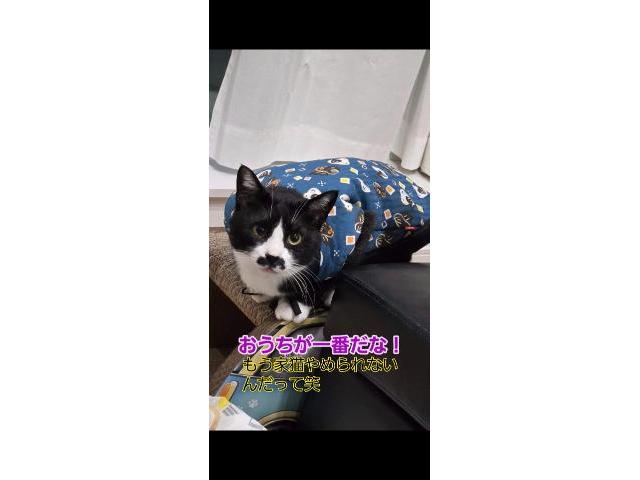 コースターキャンピング、ユーザー買取り！