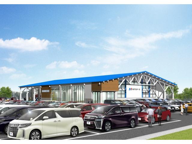 �ͥ����ơ�����������������Ź