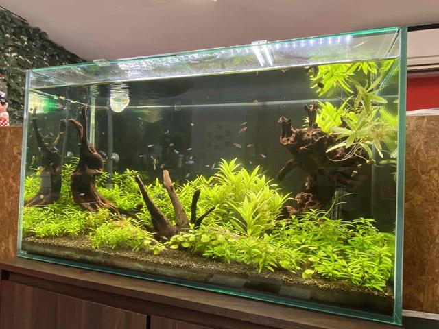 新車・中古車販売ひだまり サービス紹介の5つ目