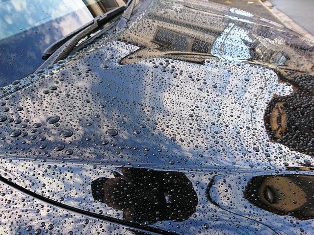 販売店キャンペーン