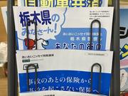 自動車保険についてもご相談下さい。お車や乗り方にあった保険のご提案を致します。