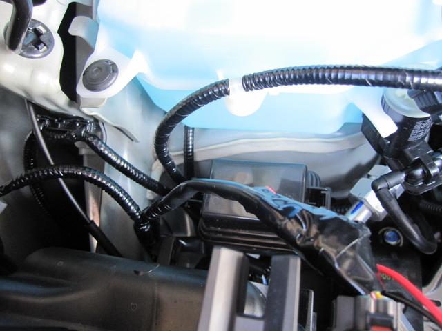 N-VAN 　電光　ナンバー　コーティング