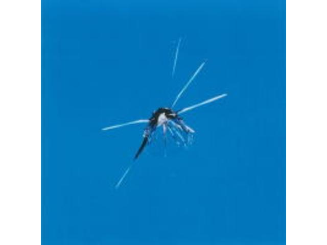 フロントガラスのヒビわれ修理を行っています。１カ所／料金１３．２００円。作業時間３時間～。