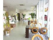 Ｈｏｎｄａ　Ｃａｒｓ　南栃木　Ｕ－Ｓｅｌｅｃｔ小山北5