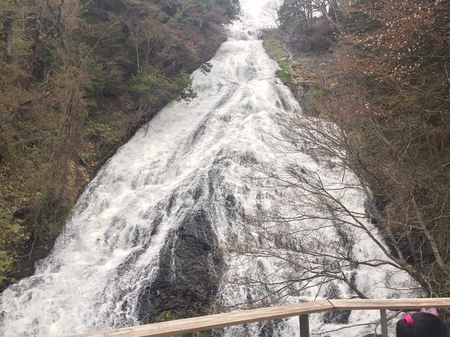 お客様と徳川埋蔵金を探しにいってきたよ
