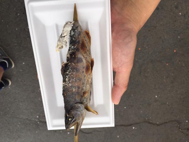 お客様と徳川埋蔵金を探しにいってきたよ