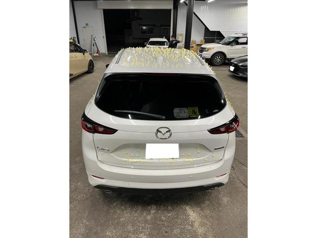 入庫相談可能　Mazda　CX-5　デントリペア　鈑金　国産車　輸入車　雹　前橋　玉村　伊勢崎　高崎　藤岡　群馬　栃木　佐野　鹿沼　行田　羽生　加須　久喜　埼玉　北関東　関東