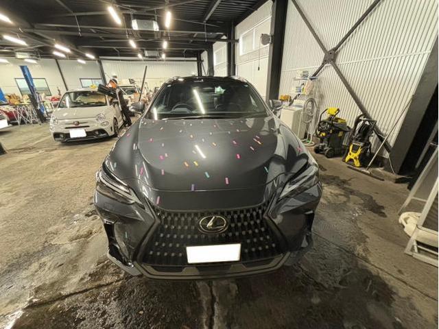 雹　キズ・へこみ直し入庫相談可能　レクサス　NX　デントリペア　絶賛作業中　板金　鈑金　国産車　輸入車　雹　前橋　玉村　伊勢崎　高崎　藤岡　群馬　兵庫　姫路　加古川　明石　神戸