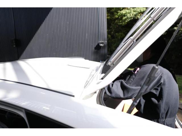 トヨタ　プリウス　持ち込み純正ドルフィンアンテナ＆純正ドアエッジモール交換　30プリウス　トヨタ純正品　群馬県　高崎市　株式会社BLAZE