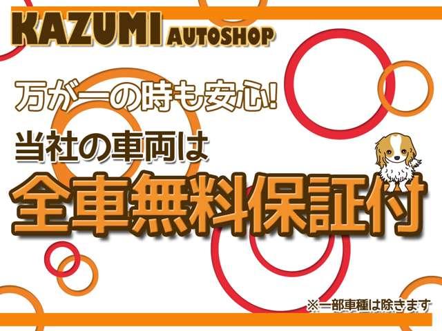 カズミオートショップ(4枚目)