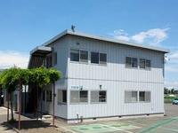 ����Ź����