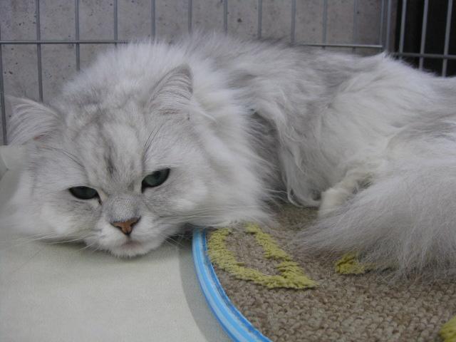 (株)イタガキ(6枚目)