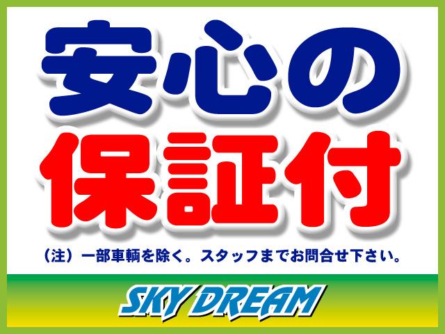 ＳＫＹ　ＤＲＥＡＭ（株）スカイ・ドリーム　(2枚目)