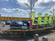 ツチヤ自動車株式会社　本社市川　展示場