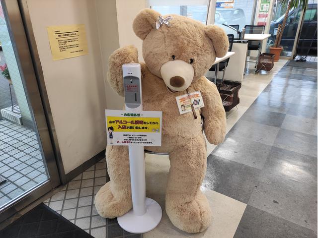 トヨタカローラ神奈川(株) 厚木荻野マイカーセンター(5枚目)