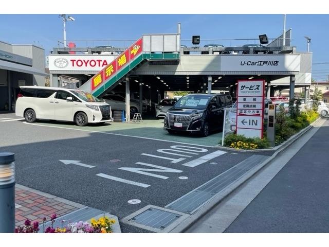 �ȥ西��ӥ�ƥ�����ʳ��ˣաݣã�򹾸���Ź