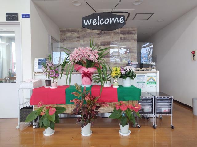 トヨタモビリティ東京(株)U-Car羽村店(5枚目)