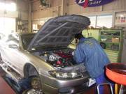 お気軽に当店へ！