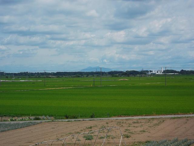 千葉スバル(株) カースポット我孫子(6枚目)