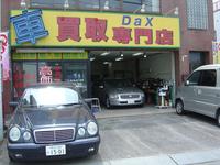 �ģ�� ����Ź �ʳ��˥���ѥ�