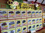 ＣＡＲＡＣキャラック／ＪＵ中販連認定適正販売店6