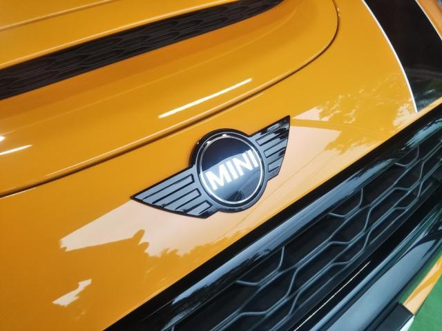 MINI　ブラックアウト　埼玉　所沢　エスガレージ