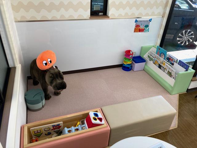 トヨタモビリティ神奈川 中古車タウン二俣川(6枚目)
