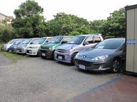 Ms collection