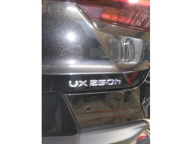 【レクサス　UX250h】【12ヶ月点検・整備】