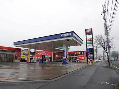 ピッカーズコスモセルフステーション花園店の画像