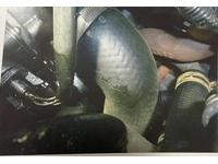 整備・修理・塗装・板金の作業実績1